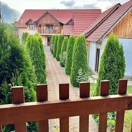 Pensiunea Casa Nina Cartisoara Ngoại thất bức ảnh