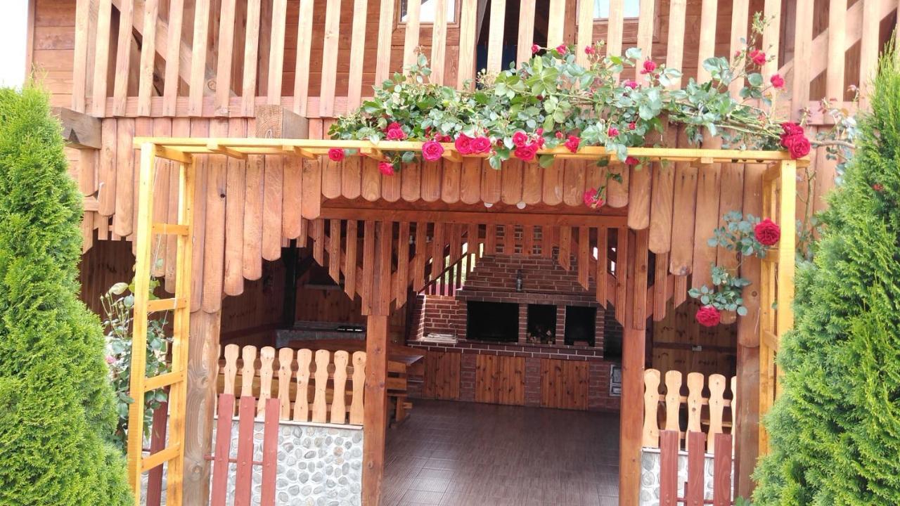 Pensiunea Casa Nina Cartisoara Ngoại thất bức ảnh