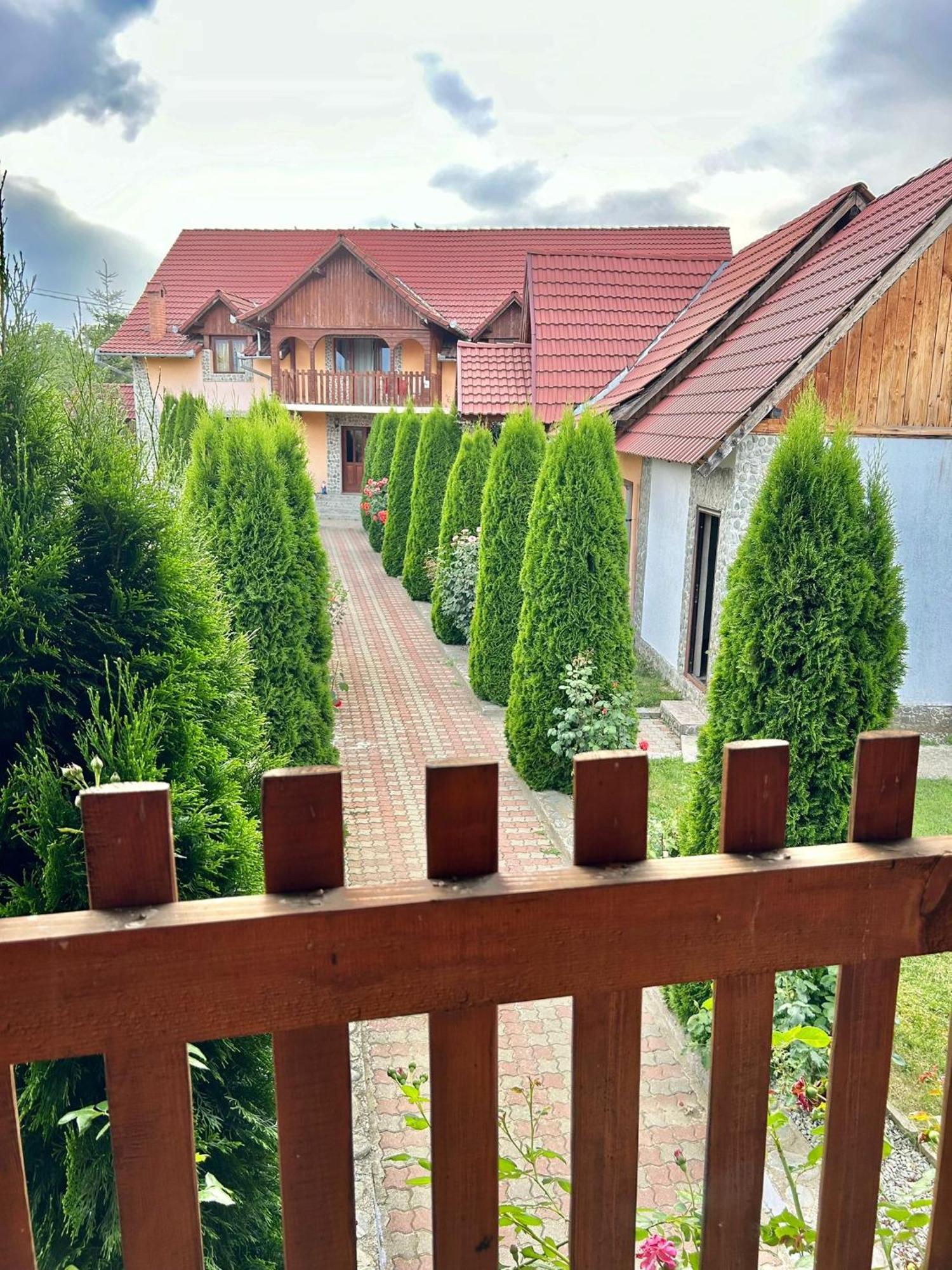 Pensiunea Casa Nina Cartisoara Ngoại thất bức ảnh