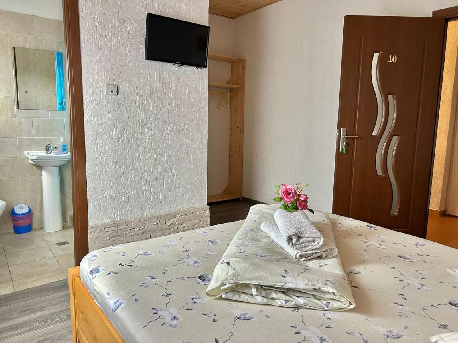 Pensiunea Casa Nina Cartisoara Ngoại thất bức ảnh