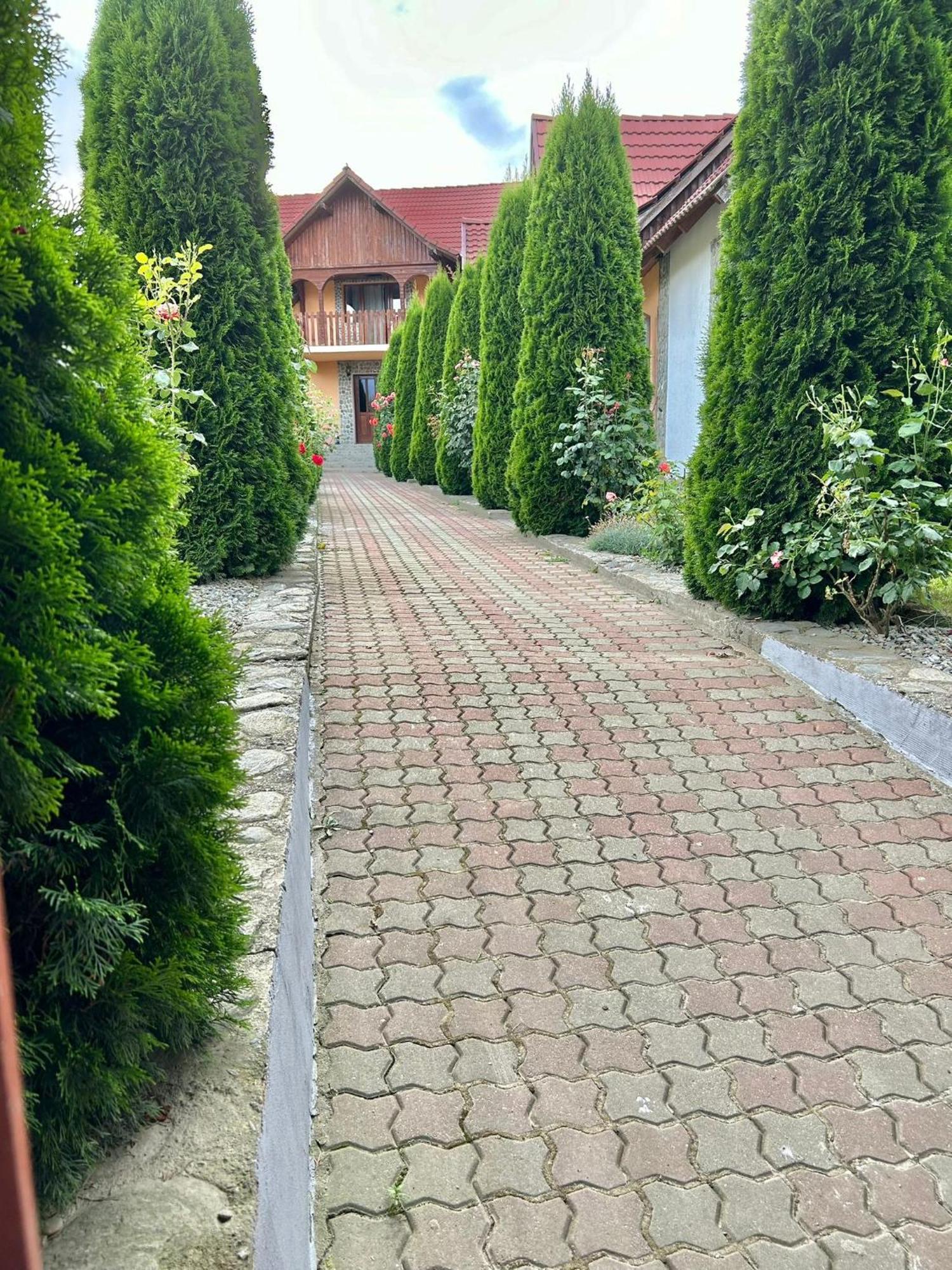 Pensiunea Casa Nina Cartisoara Ngoại thất bức ảnh