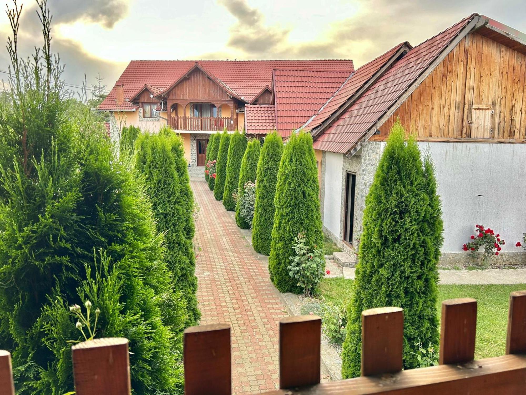 Pensiunea Casa Nina Cartisoara Ngoại thất bức ảnh