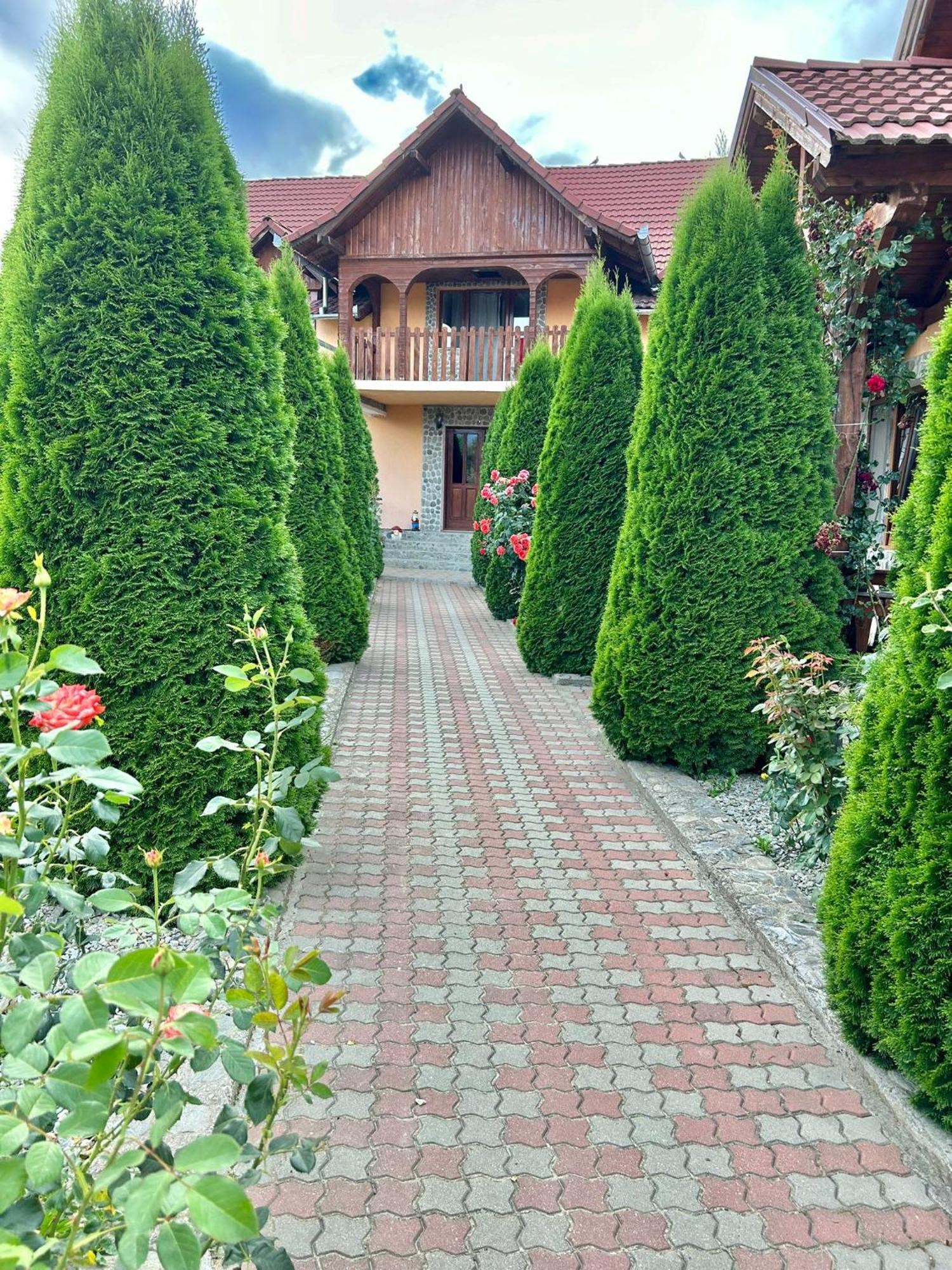 Pensiunea Casa Nina Cartisoara Ngoại thất bức ảnh